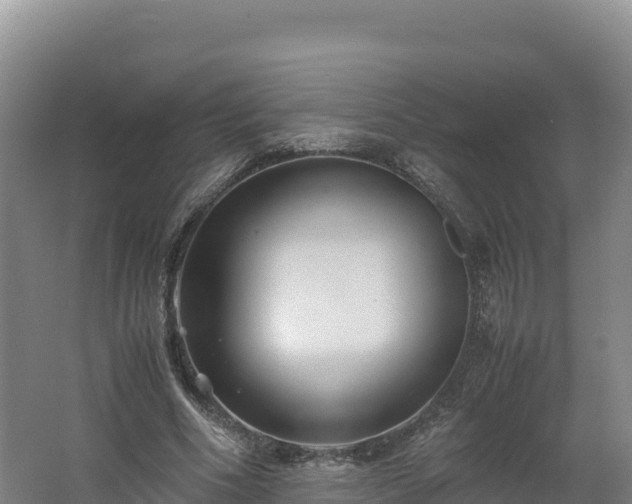 X0000062620586200512230949