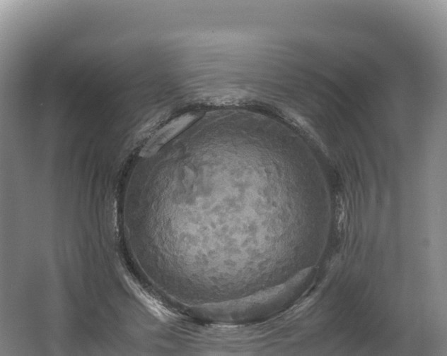 X0000062620589200512230949