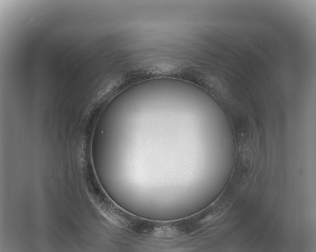 X0000062620591200512230949