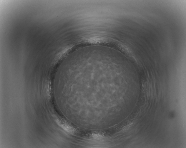 X0000062620592200512230949