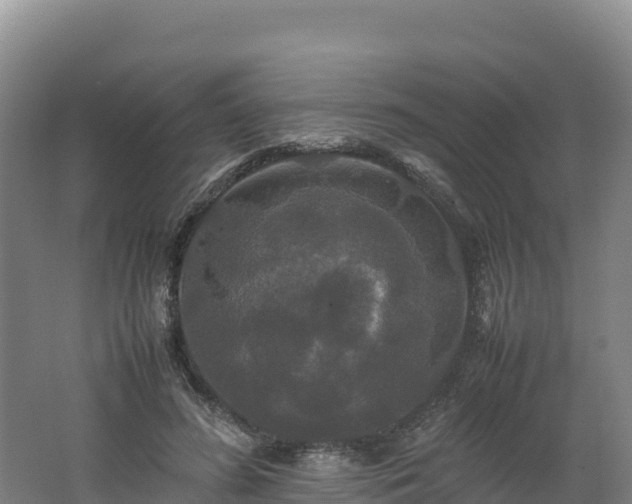 X0000062620596200512230948