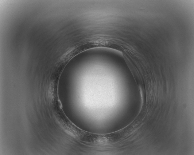 X0000062620600200512230948