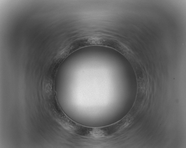X0000062620603200512230948