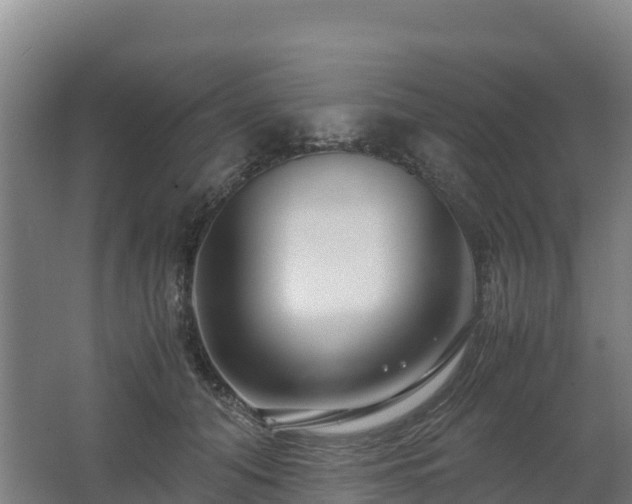 X0000062620608200512230948