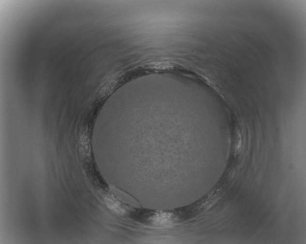 X0000062620609200512230948