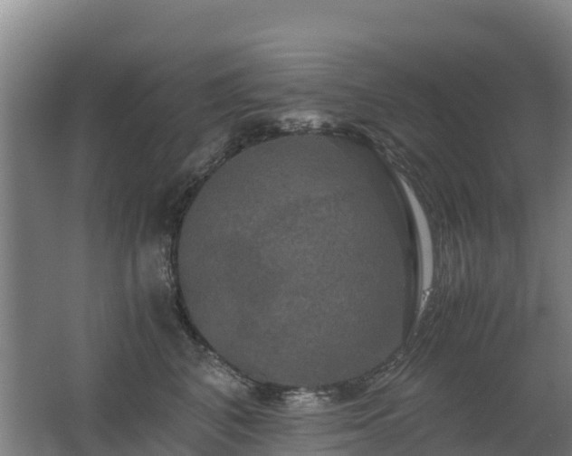 X0000062620616200512230948