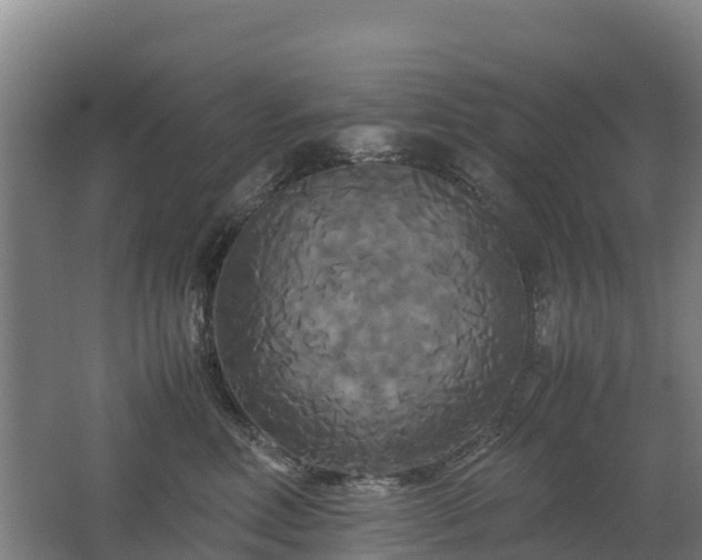 X0000062620618200512230948