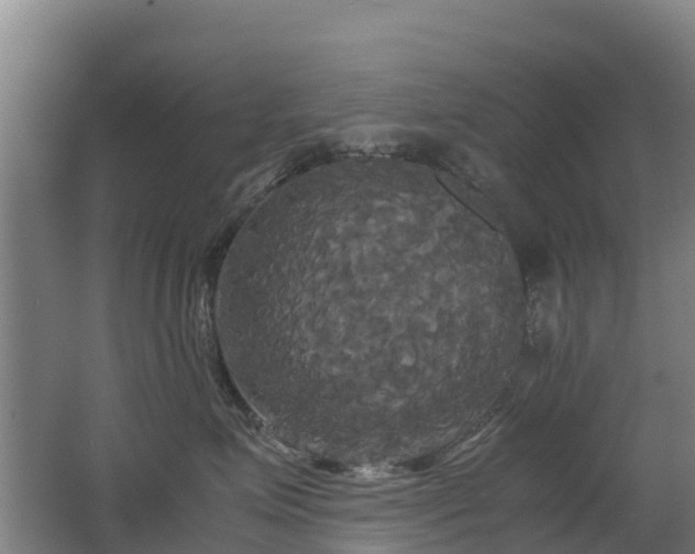 X0000062620623200512230948