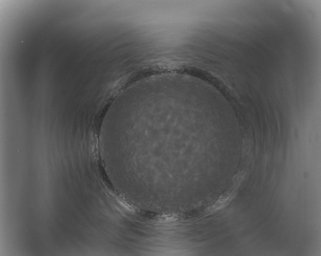 X0000062620624200512230948