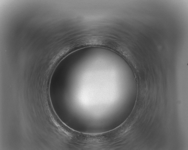 X0000062620625200512230947