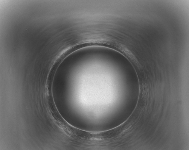 X0000062620628200512230947