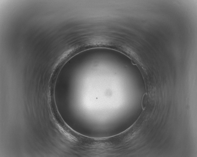 X0000062620629200512230947