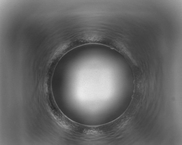 X0000062620635200512230947