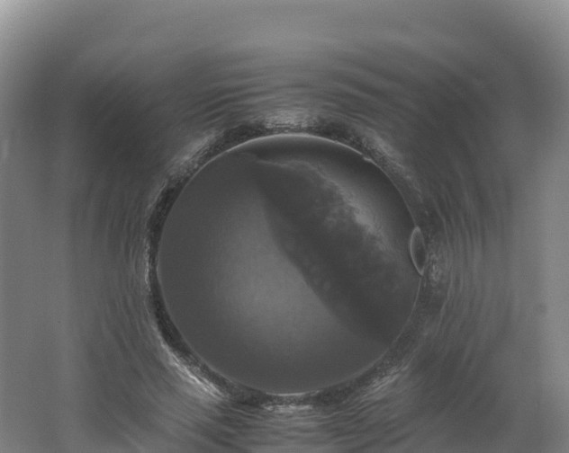X0000062620637200512230947