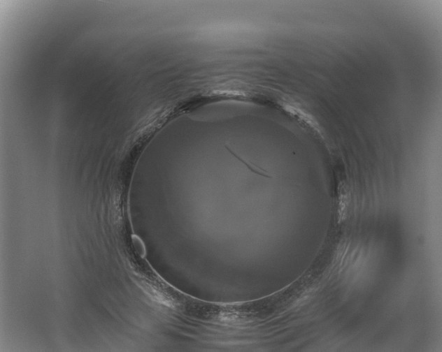 X0000062620641200512230947