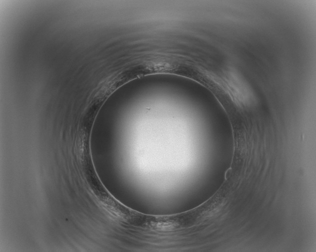 X0000062620645200512230947