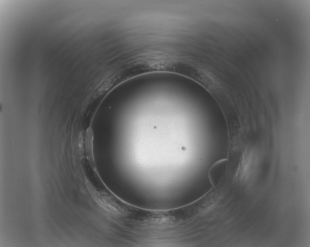 X0000062620646200512230947
