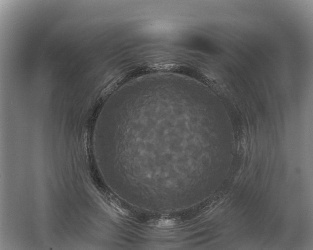 X0000062620647200512230948