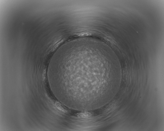 X0000062620652200512230948
