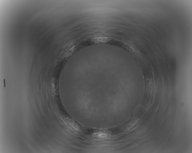 X0000062620655200512230948