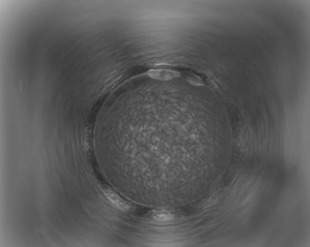 X0000062620658200512230948
