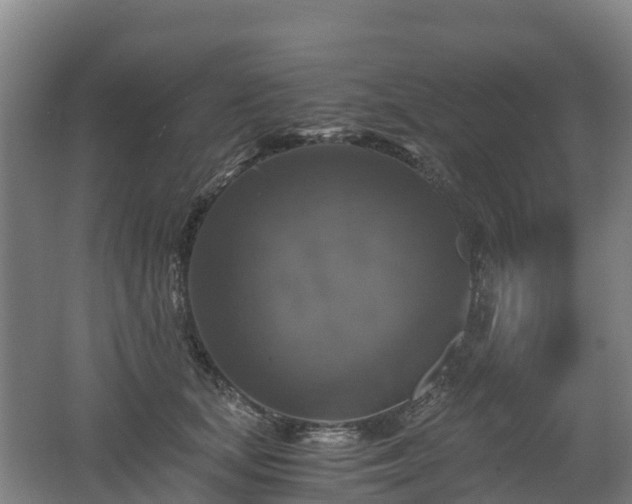 X0000062620659200512230948