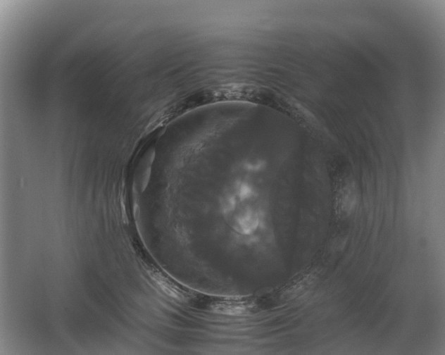 X0000062620661200512230948