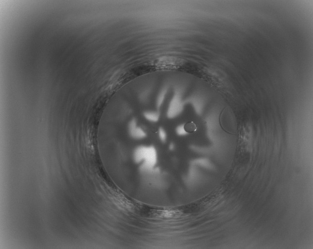 X0000062620663200512230948