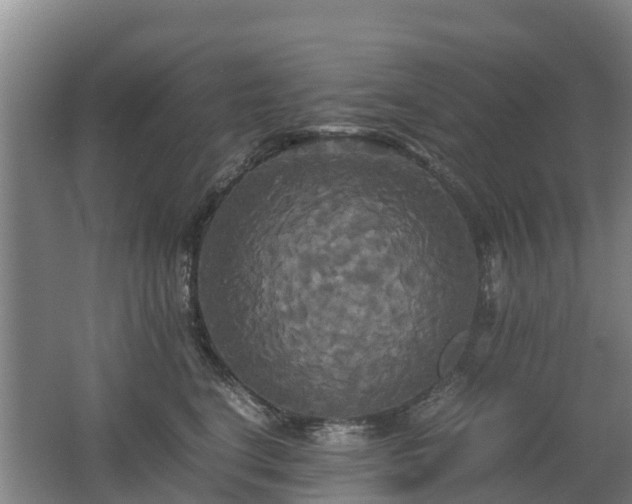 X0000062620664200512230948