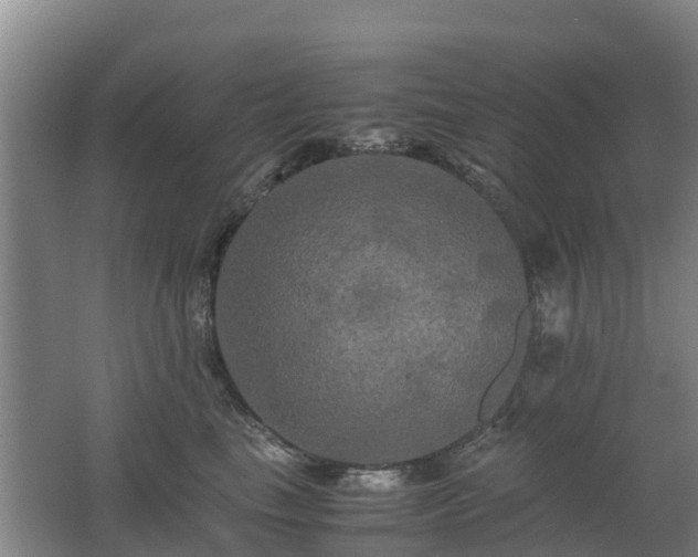 X0000062620665200512230948