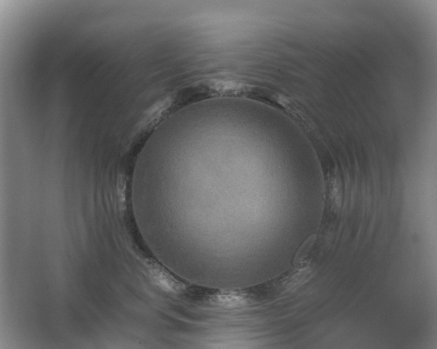 X0000062620668200512230948