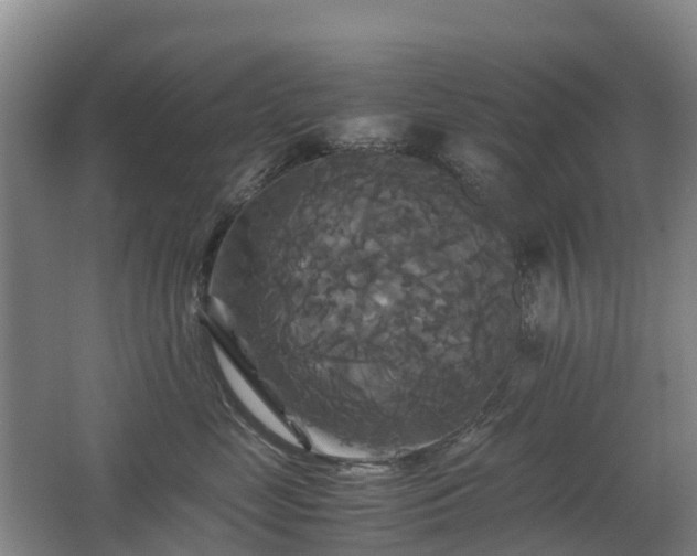 X0000062620669200512230948