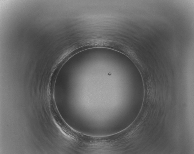 X0000062620674200512230947