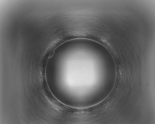 X0000062620688200512230947