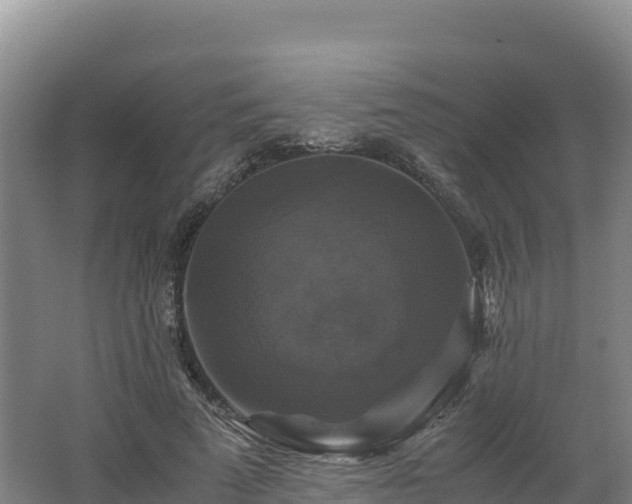 X0000062620689200512230947