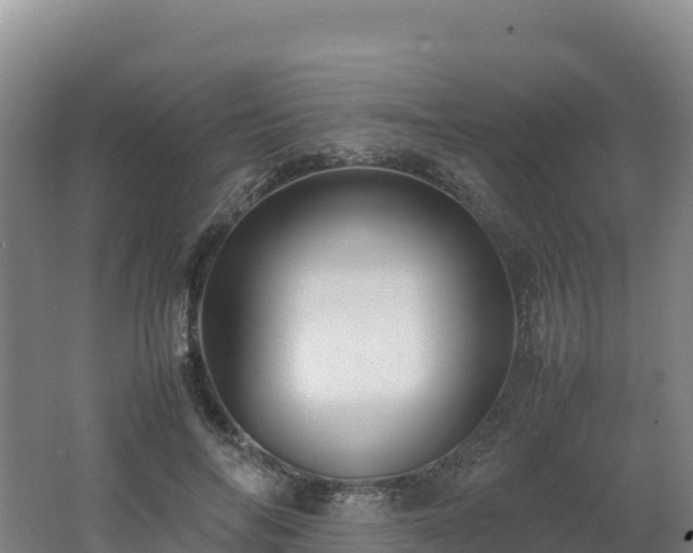 X0000062620694200512230947