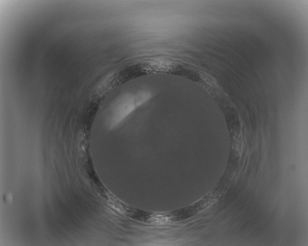 X0000062620701200512230947