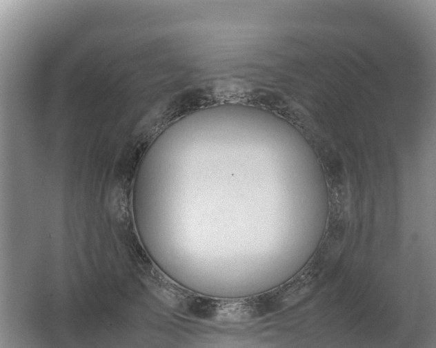 X0000062620705200512230947