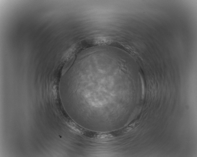 X0000062620716200512230946
