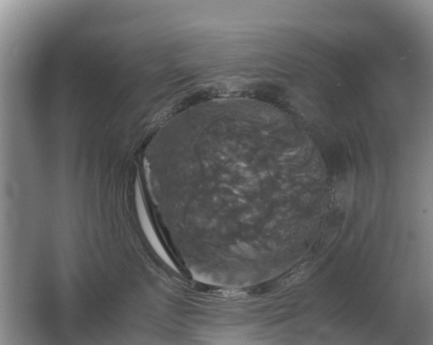 X0000062620719200512230946