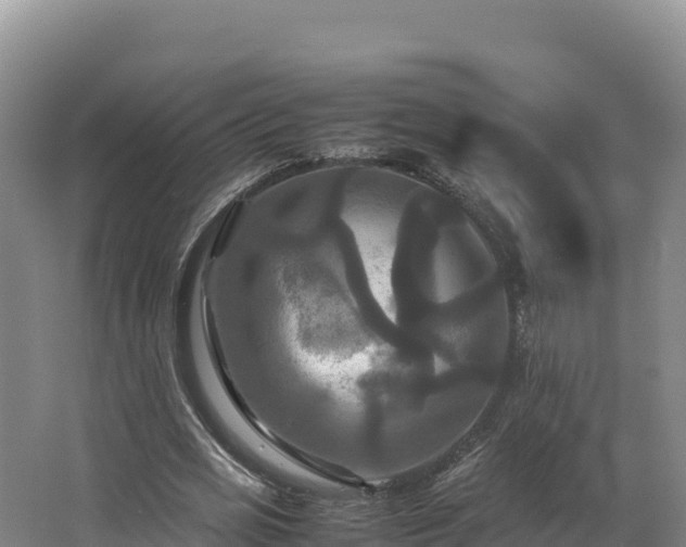 X0000062620725200512230946