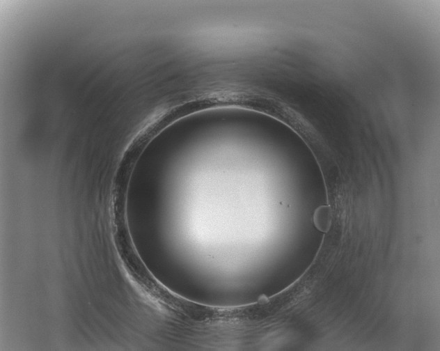 X0000062620730200512230946