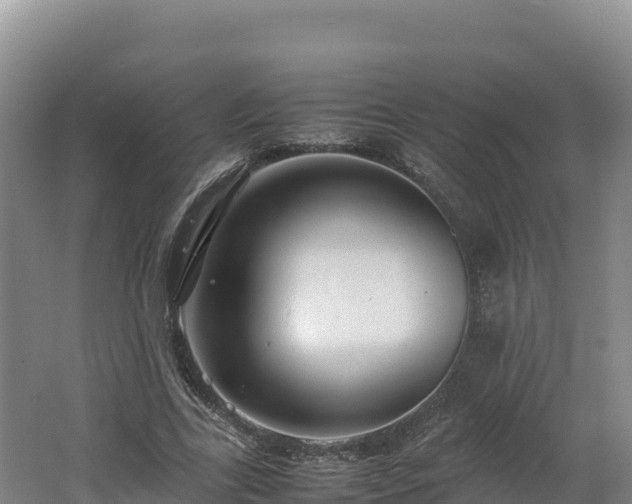 X0000062620731200512230946
