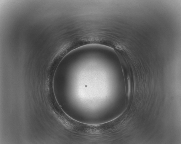X0000062620735200512230946