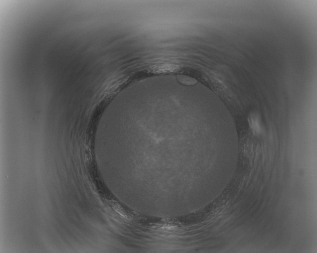 X0000062620743200512230946