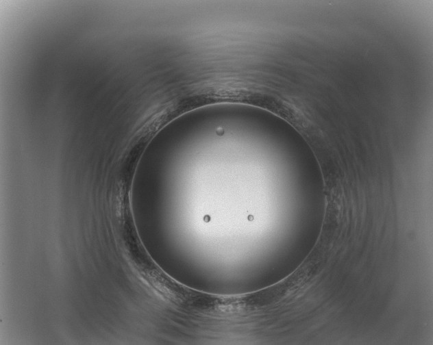 X0000062620744200512230946