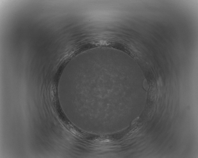 X0000062620747200512230946