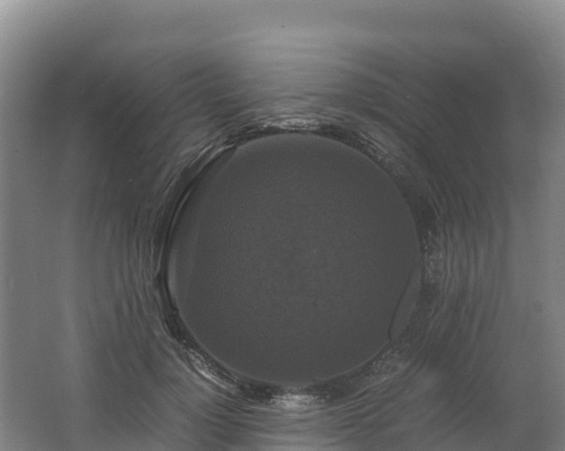 X0000062620748200512230946