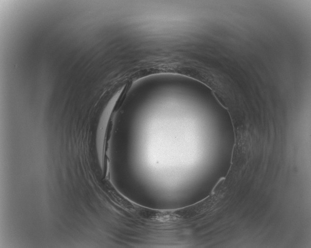 X0000062620752200512230946