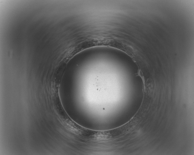 X0000062620756200512230946